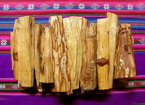 10 beneficios del Palo Santo, la “madera sagrada”